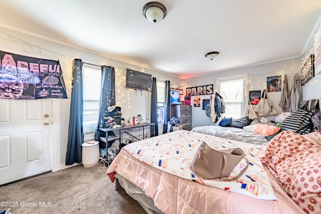 2420 Guilderland Ave, Schenectady, NY 12306 - bedroom featuring multiple windows, carpet flooring, and crown molding