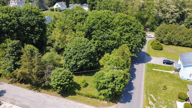 55 Crescent Ave, Amsterdam, NY 12010 - bird's eye view