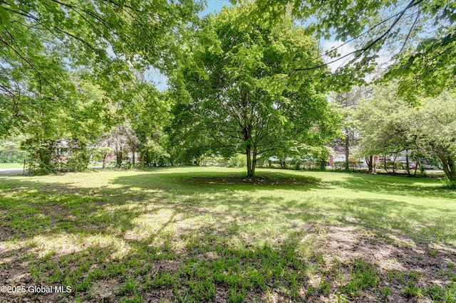 55 Crescent Ave, Amsterdam, NY 12010 - view of grassy yard