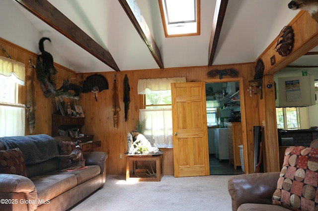 127 Fern Ln, Jefferson, NY 12093 - living room featuring wooden walls, carpet flooring, and a skylight