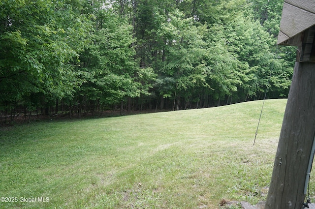 127 Fern Ln, Jefferson, NY 12093 - view of grassy yard featuring a wooded view