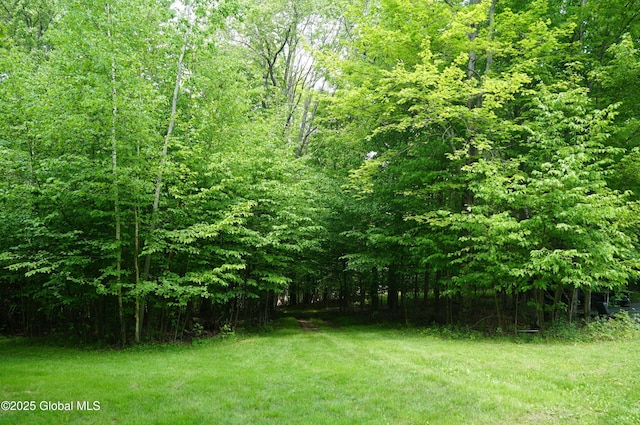 127 Fern Ln, Jefferson, NY 12093 - view of yard with a wooded view