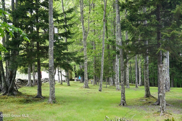 127 Fern Ln, Jefferson, NY 12093 - view of green lawn
