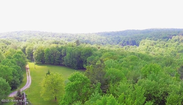 127 Fern Ln, Jefferson, NY 12093 - bird's eye view of a heavily wooded area