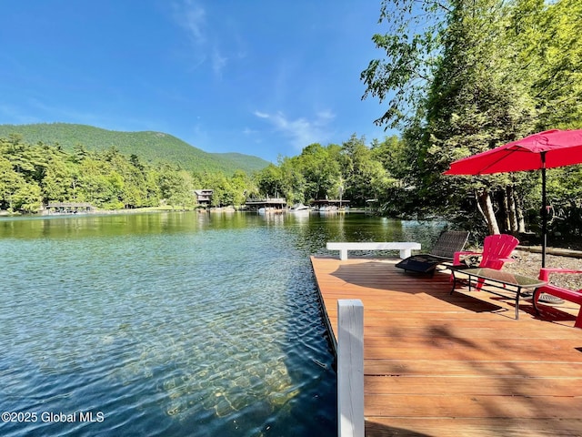 3602 Echo Bay Ln, Fort Ann, NY 12844 - dock with a water and mountain view and a forest view