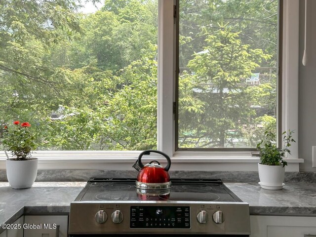 3602 Echo Bay Ln, Fort Ann, NY 12844 - kitchen view of stainless steel range with electric stovetop