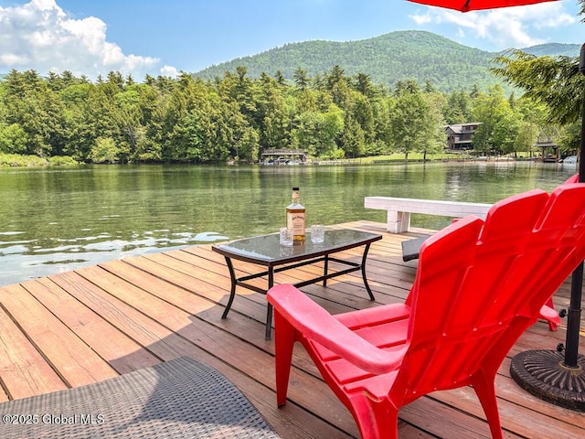 3602 Echo Bay Ln, Fort Ann, NY 12844 - dock area featuring a view of trees and a water and mountain view
