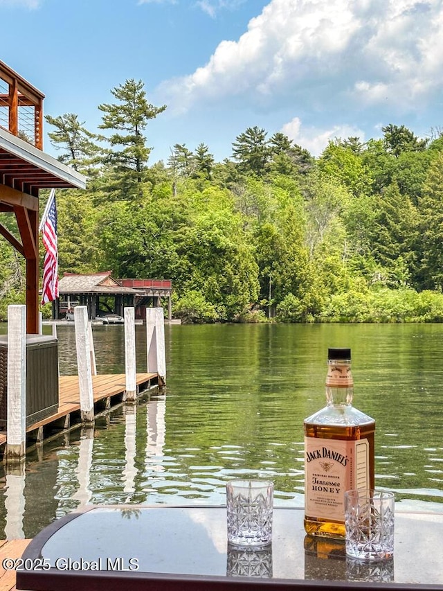 3602 Echo Bay Ln, Fort Ann, NY 12844 - dock area with a water view and a wooded view