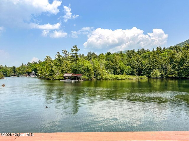 3602 Echo Bay Ln, Fort Ann, NY 12844 - water view featuring a heavily wooded area