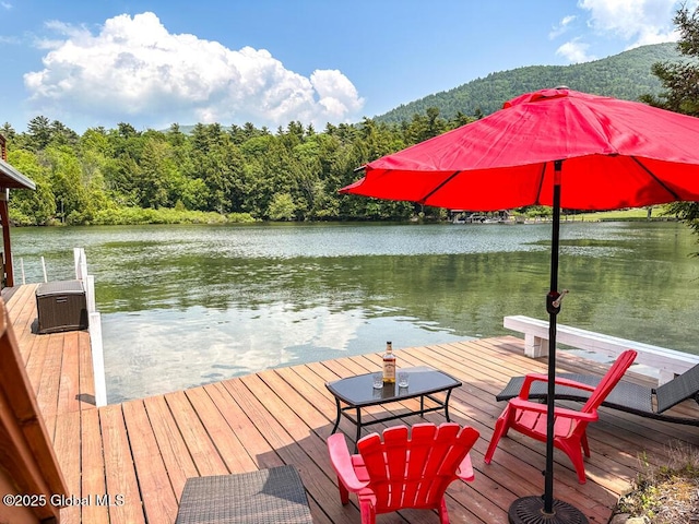 3602 Echo Bay Ln, Fort Ann, NY 12844 - dock with a water view and a forest view