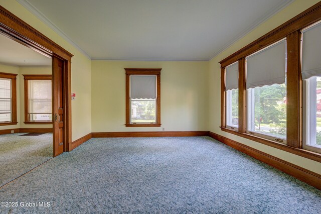 510 S William St, Johnstown, NY 12095 - empty room featuring carpet floors and ornamental molding