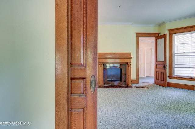 510 S William St, Johnstown, NY 12095 - carpeted living room with crown molding and a fireplace with flush hearth