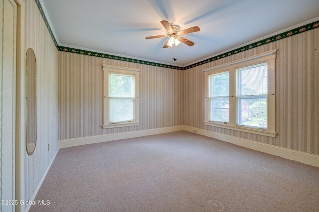 510 S William St, Johnstown, NY 12095 - carpeted empty room with wallpapered walls, plenty of natural light, a ceiling fan, and ornamental molding