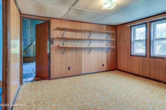 510 S William St, Johnstown, NY 12095 - carpeted spare room with baseboards and wood walls