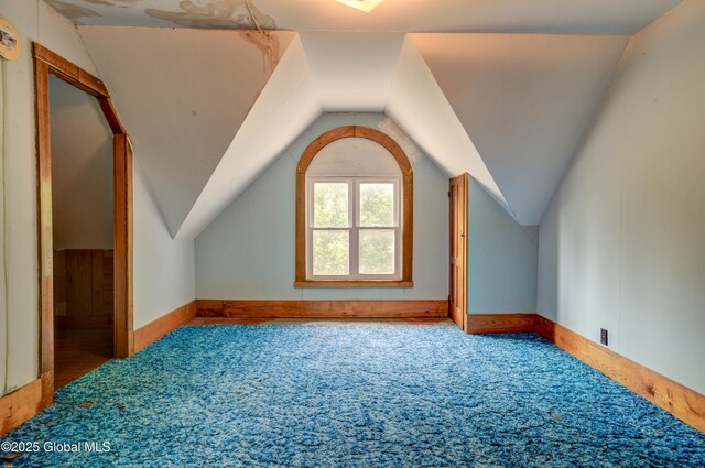510 S William St, Johnstown, NY 12095 - additional living space featuring carpet and vaulted ceiling