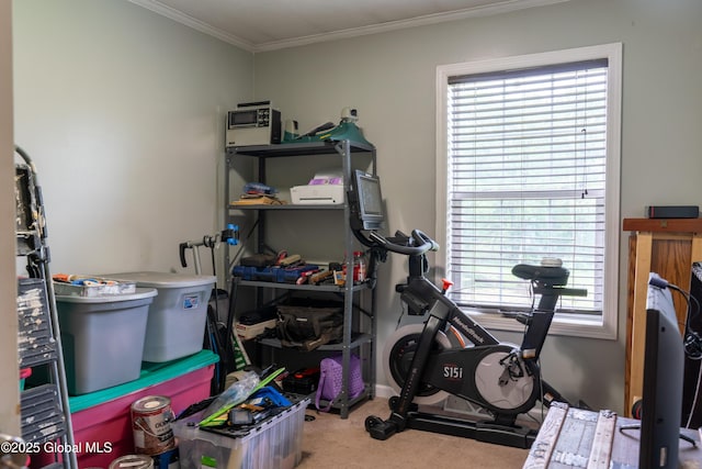 79 Chandler Ln, Greenfield, NY 12859 - exercise room featuring carpet flooring and ornamental molding