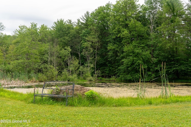 79 Chandler Ln, Greenfield, NY 12859 - view of yard with a view of trees