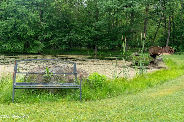 79 Chandler Ln, Greenfield, NY 12859 - view of yard