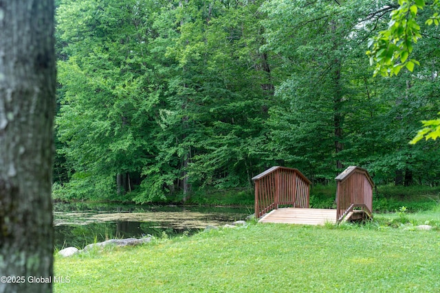 79 Chandler Ln, Greenfield, NY 12859 - view of green lawn featuring a wooded view