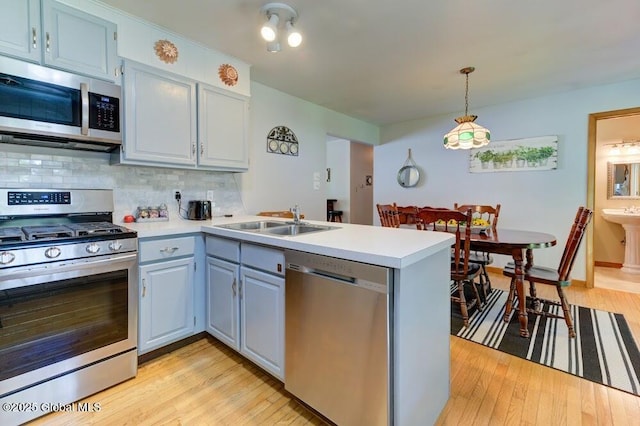 8 Birchtree Ln, Milton, NY 12020 - kitchen featuring appliances with stainless steel finishes, a sink, a peninsula, and light countertops