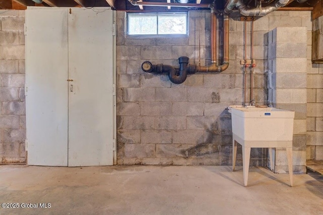 8 Birchtree Ln, Milton, NY 12020 - view of basement