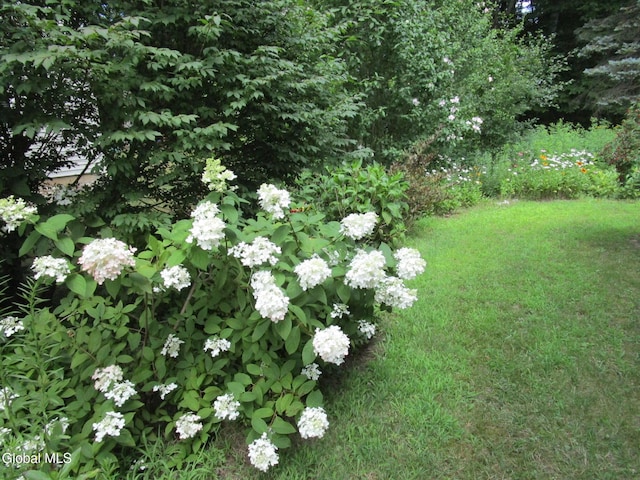 676 Pearse Rd, Niskayuna, NY 12309 - photo 11