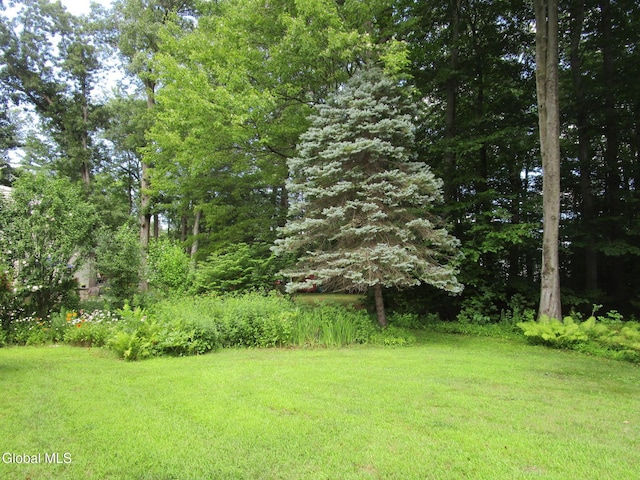 676 Pearse Rd, Niskayuna, NY 12309 - photo 12
