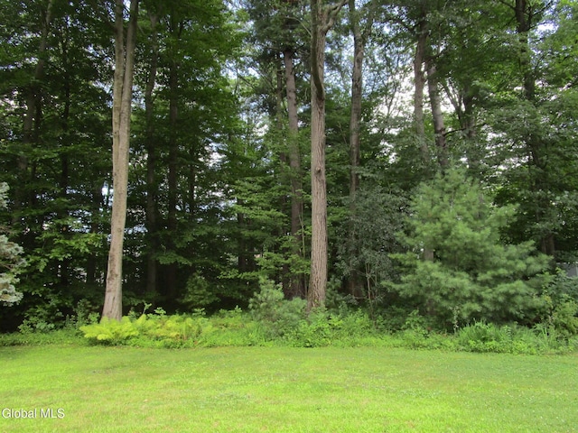 676 Pearse Rd, Niskayuna, NY 12309 - photo 13