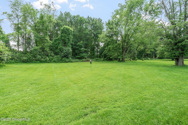 145 Old Red Mill Rd, East Greenbush, NY 12144 - photo 95