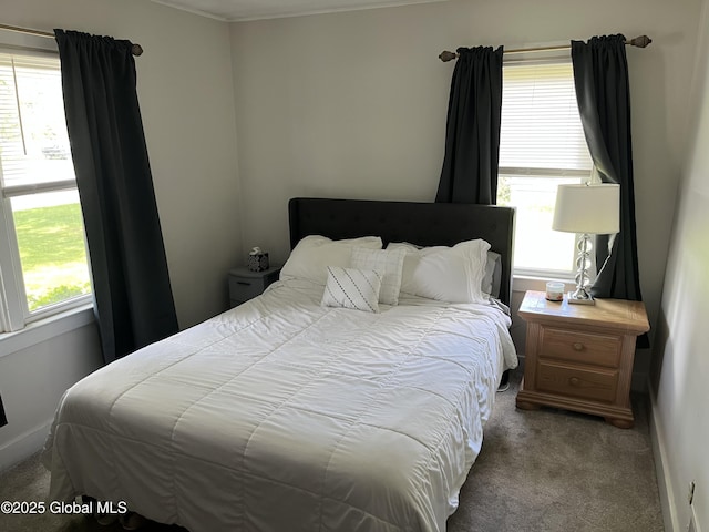 6 Pine Rd, Moreau, NY 12803 - bedroom featuring carpet and crown molding