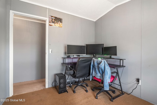 131 Abrams Rd, Wright, NY 12023 - carpeted office space featuring vaulted ceiling