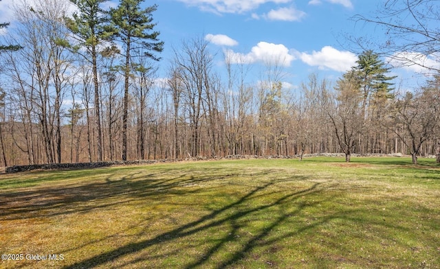 84 Hill Rd, New Lebanon, NY 12062 - photo 17