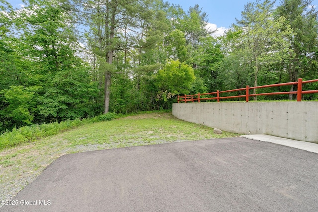 16 Smith Ln, East Greenbush, NY 12144 - view of yard