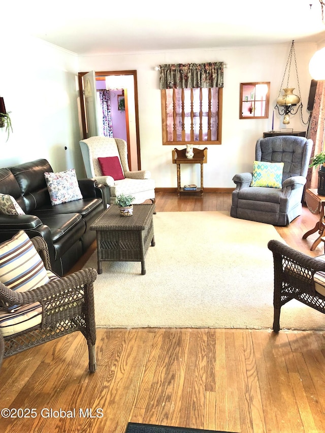 607 Gansevoort Rd, Moreau, NY 12803 - living room featuring wood finished floors