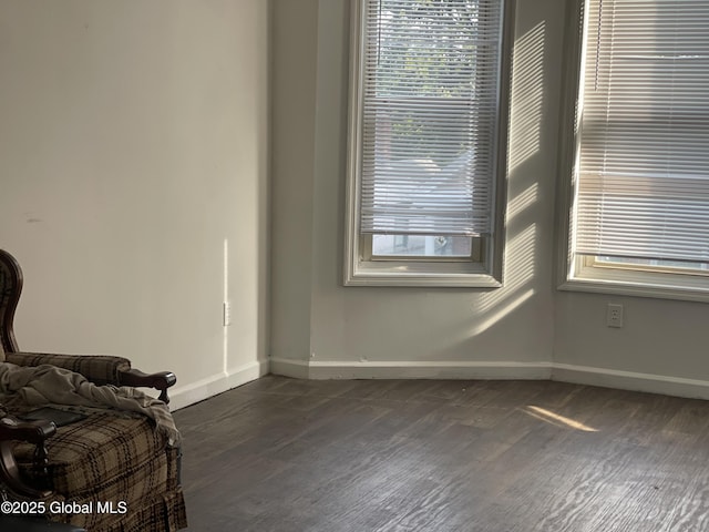 869 Strong St, Schenectady, NY 12307 - bedroom featuring baseboards, dark wood-style floors, and multiple windows