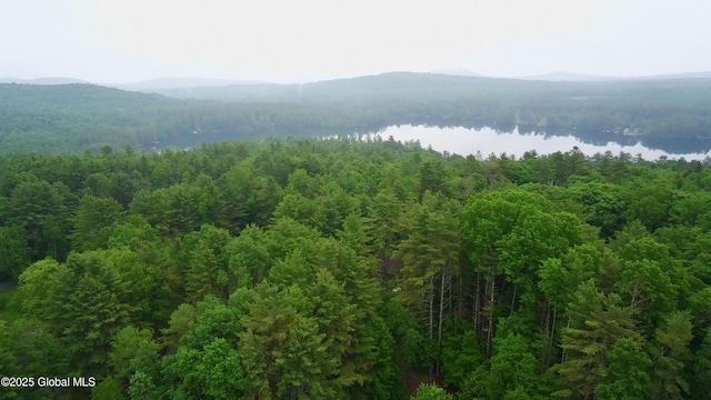 68 Elks Glade Rd, Chester, NY 12817 - view of mountain backdrop with a heavily wooded area and a nearby body of water