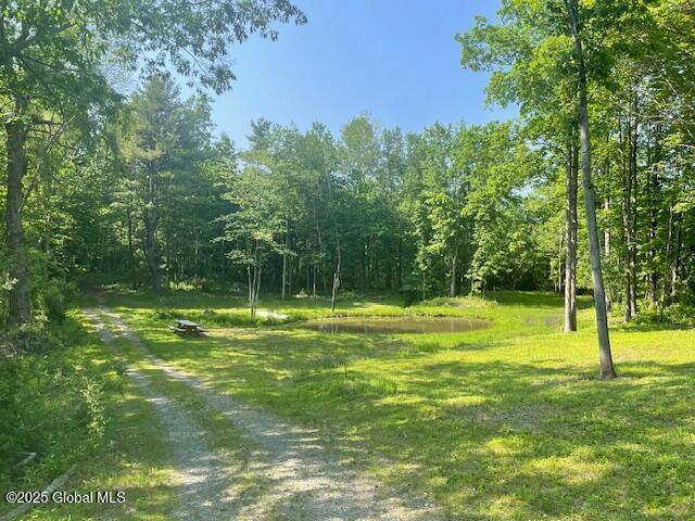 23 Plumadore Dr, Brunswick, NY 12180 - photo 74