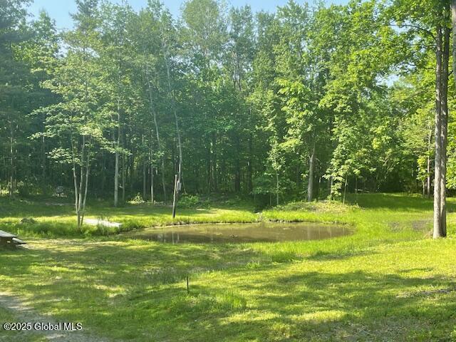 23 Plumadore Dr, Brunswick, NY 12180 - photo 75