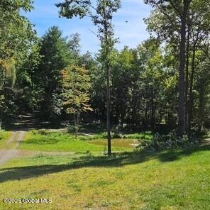 23 Plumadore Dr, Brunswick, NY 12180 - photo 80