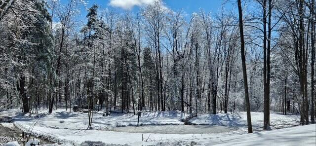 23 Plumadore Dr, Brunswick, NY 12180 - photo 81