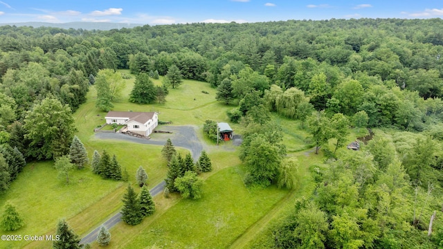 458 Lape Rd, Schodack, NY 12123 - photo 2
