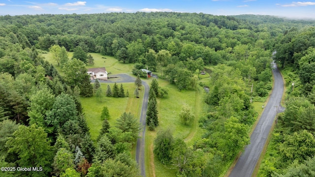 458 Lape Rd, Schodack, NY 12123 - photo 7