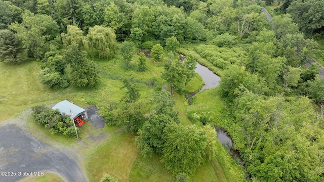 458 Lape Rd, Schodack, NY 12123 - photo 9