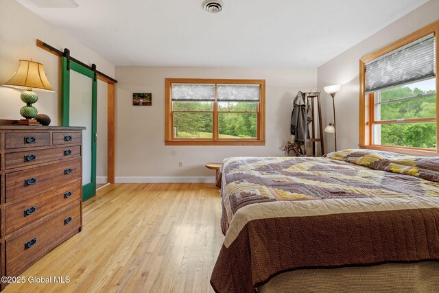 458 Lape Rd, Schodack, NY 12123 - photo 62