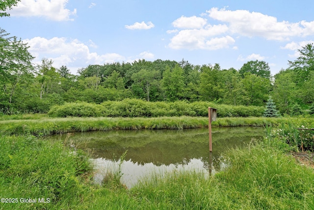 458 Lape Rd, Schodack, NY 12123 - photo 80