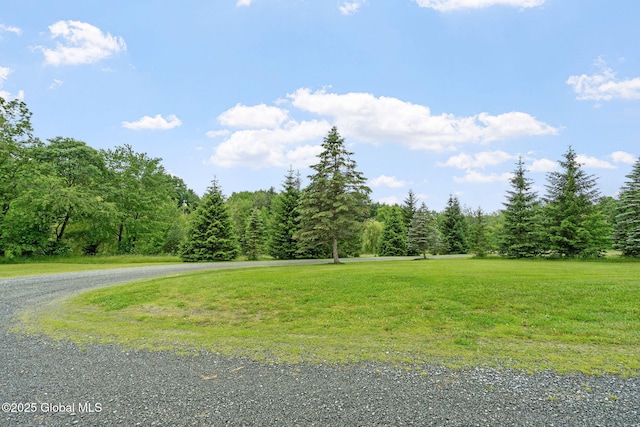 458 Lape Rd, Schodack, NY 12123 - photo 81