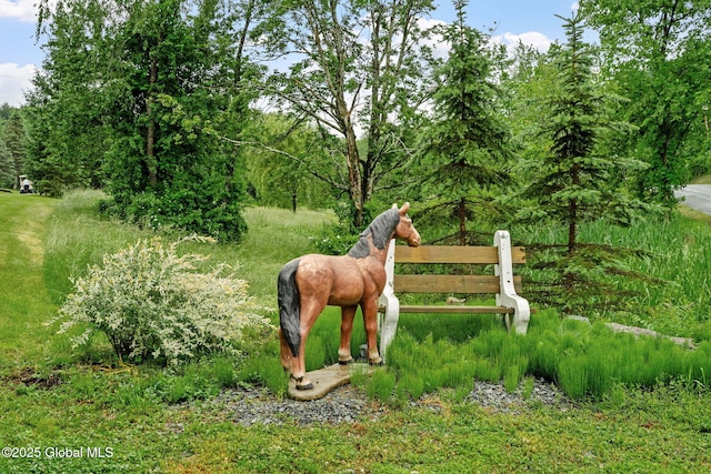 458 Lape Rd, Schodack, NY 12123 - photo 25