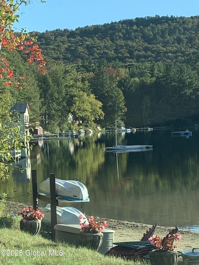 85 Hunt Lake Rd, Corinth, NY 12822 - water view with a heavily wooded area