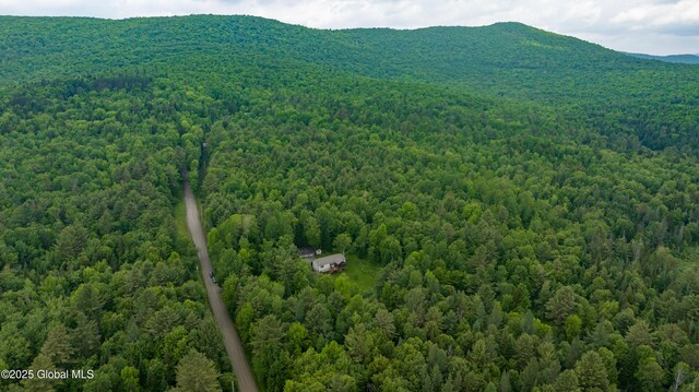11 Darling Rd, Stony Creek, NY 12878 - photo 56
