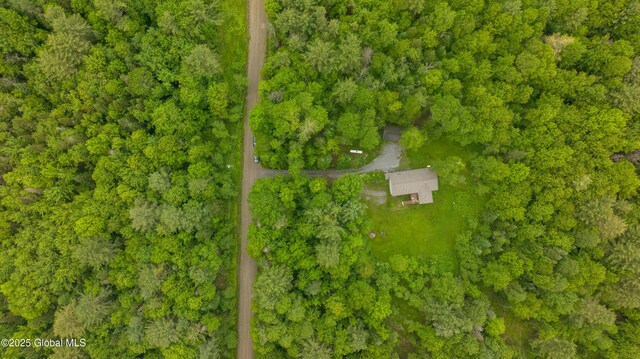 11 Darling Rd, Stony Creek, NY 12878 - photo 58